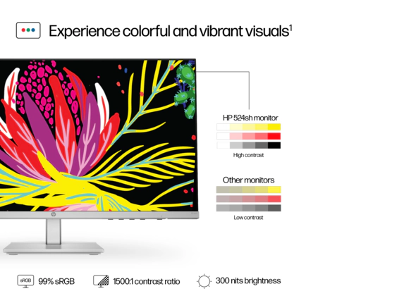 The HP S5 524sh FHD HA Monitor