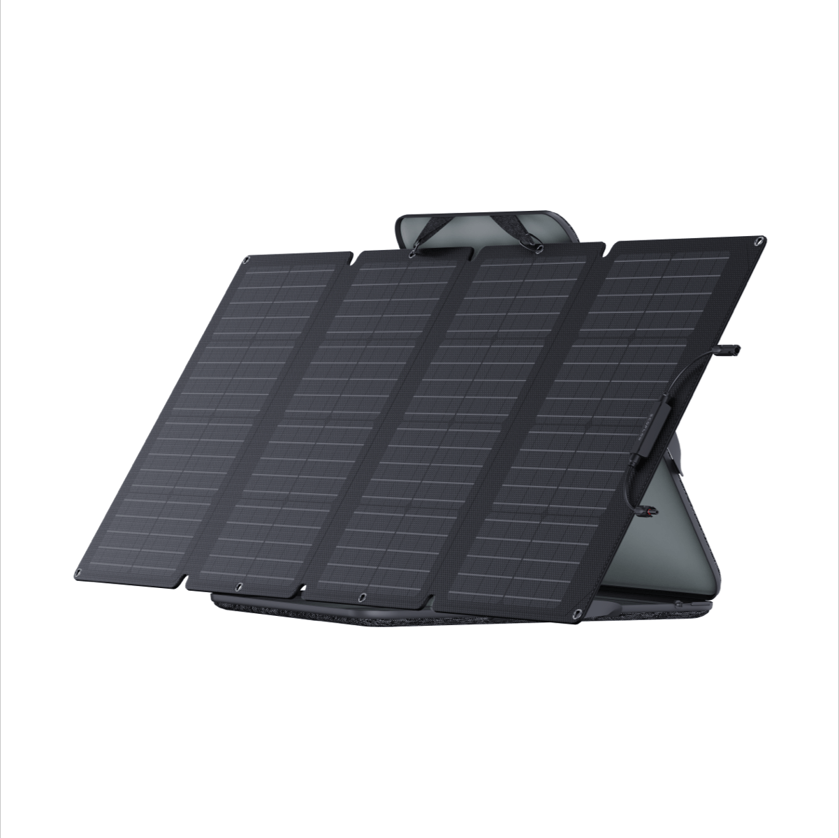 EcoFlow 160W Portable Solar Panel (EFSOLAR160W)